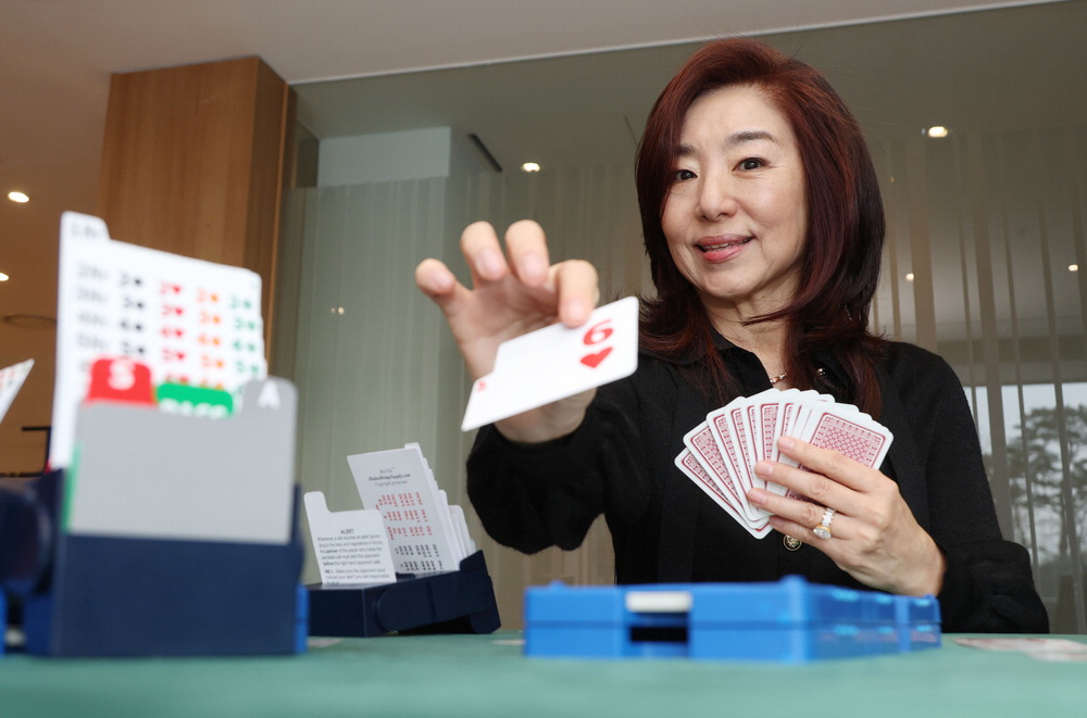 똑똑한 AI 이기고 싶죠? …'브리지'로 두뇌 근육 키우세요