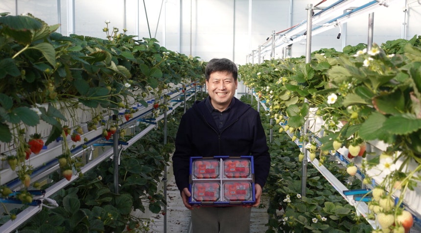 박대성 SP아그리 대표가 최첨단 서산 딸기온실에서 수확한 딸기 제품을 들고 환하게 웃고 있다.