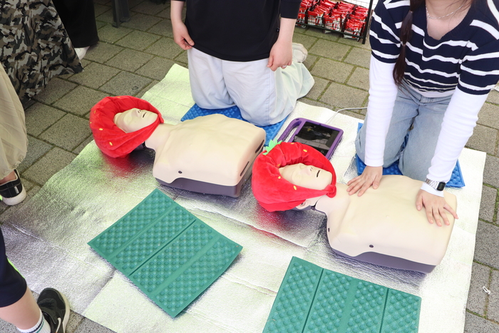 딸기에 진심이라는 이 도시…딸기의 모든 것 보여준 논산 딸기축제