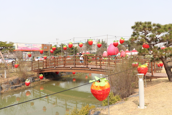 딸기에 진심이라는 이 도시…딸기의 모든 것 보여준 논산 딸기축제