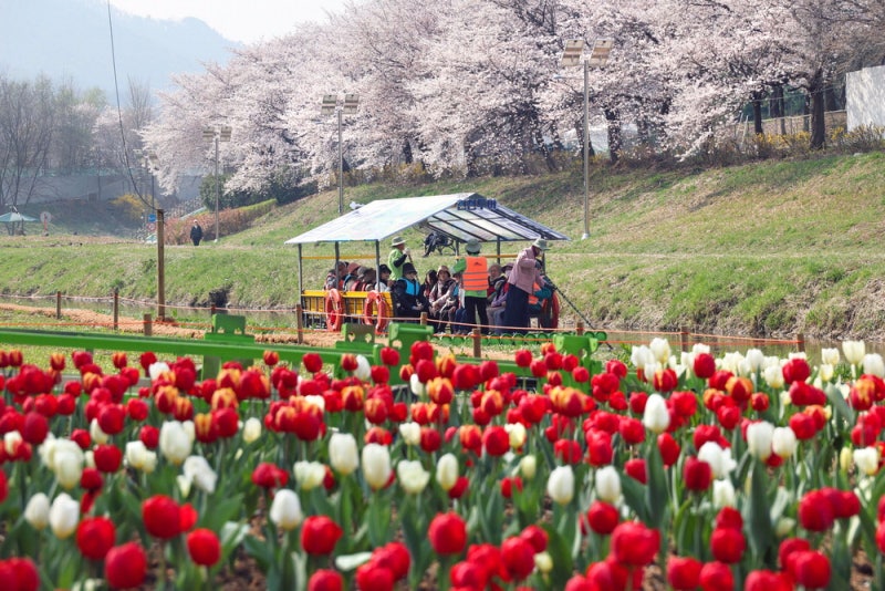 [포토] 양재천서 유유자적