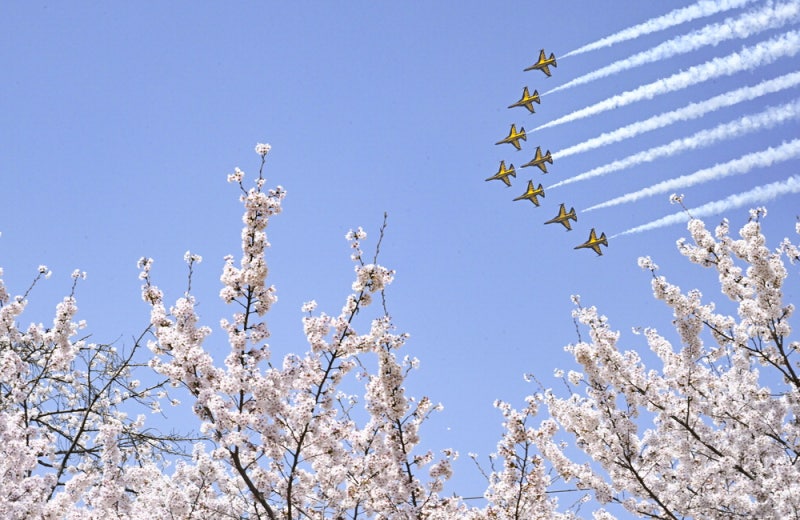 [포토] 꽃처럼 아름다운 비행