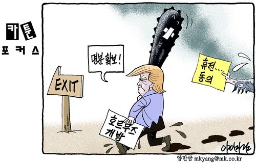 카툰포커스
