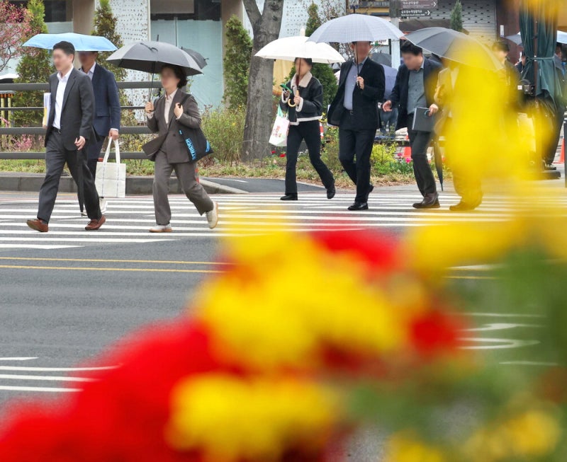 [포토] 얄미운 봄비