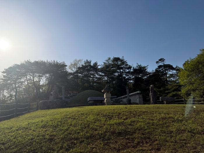 517년 만에 전 국민이 치른 단종의 장례…단종문화제 현장 [제철축제]