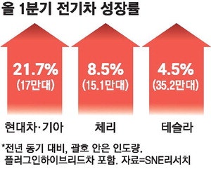 글로벌 전기차 제자리걸음인데 … 현대차그룹 판매 22% 고속성장