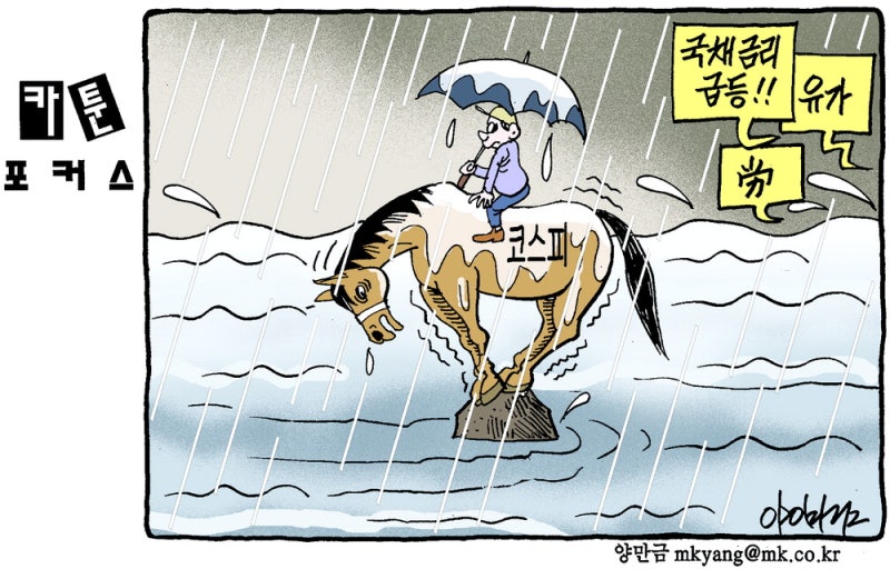 카툰포커스