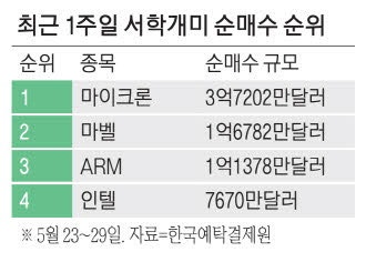 반도체株 쓸어담은 서학개미 … 원픽은 '마이크론'