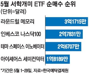서 학개미도 메모리 '올인' ETF순매수 1위 라운드힐