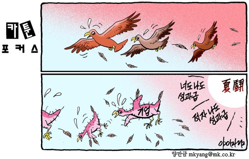 카툰포커스
