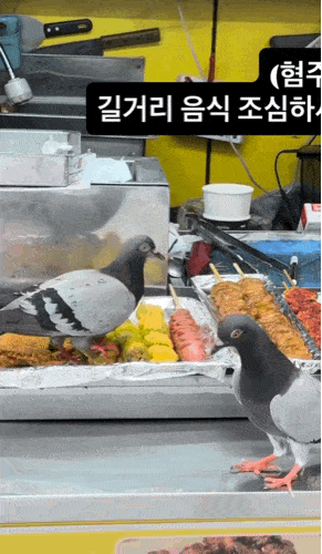  [스레드]