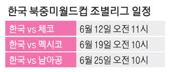 광화문 "대~한민국"… 12일 오전 11시 체코 사냥