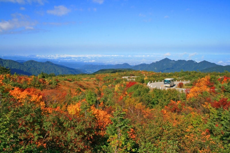 야구 열기에 가을 단풍까지 … 추석 연휴 겨냥한 이색 여행