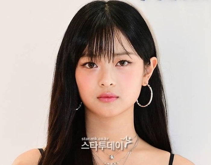 “뉴진스 하니 비자 정보 의도적 유출”…<b>어도어</b>, 경찰 고발 당해