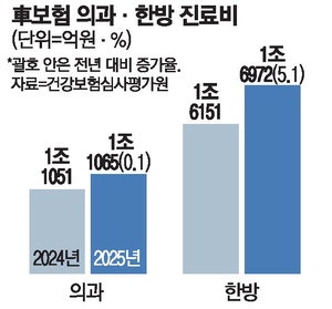 경미한 차사고에도 … 75% 입원시키는 한방병원