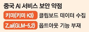 '붙여넣기'한 정보도 가져간다 … 중국 AI발 개인정보 주의보
