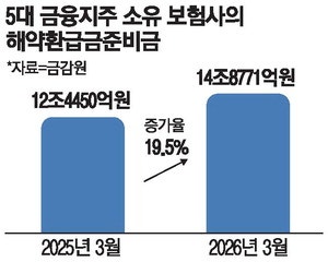획일적인 보험사 자본규제 … 금융지주 주주환원 '발목'