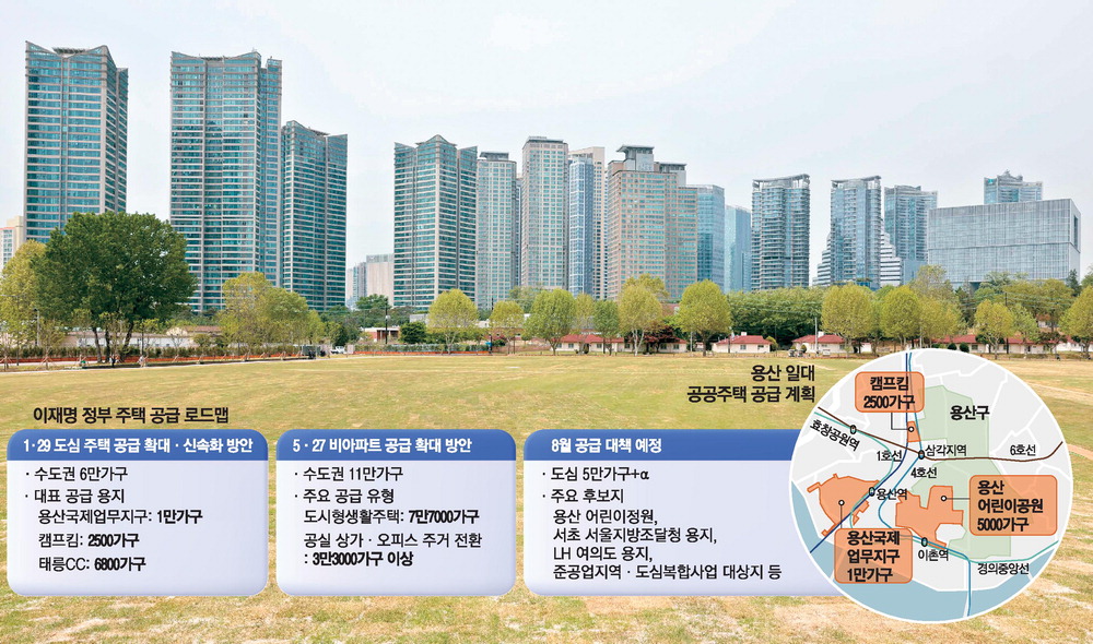 용산 어린이정원 잔디마당에서 바라본 모습.
