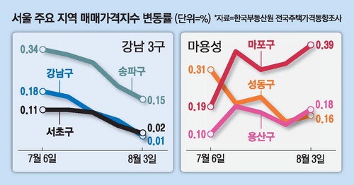 稅부담 작은 '덜 똘똘한 한채' 효과에 마용성 집값 껑충 … 강남3구는 주춤
