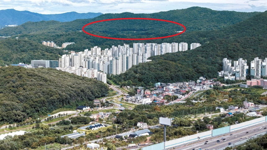 내곡동 그린벨트 일대 모습 9일 서울 서초구 서리풀지구와 아파트 단지 뒤편으로 정부가 조만간 발표할 주택 공급 대책에서 그린벨트 해제 후보지로 유력 검토되는 내곡동 예비군훈련장 일대(빨간 선)가 보인다.서리풀지구는