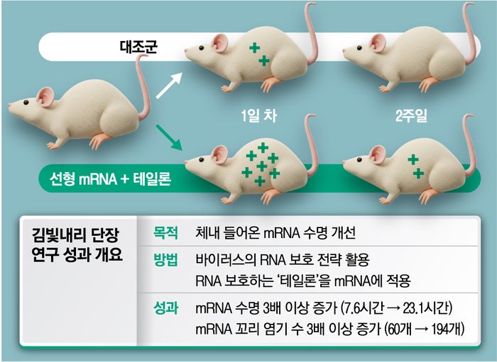 ‘<b>mRNA</b> 치료제’ <b>수명 3배</b> 됐네...김빛내리 단장, 또 성과 냈다