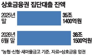 집단대출 비중 큰 상호금융 … 당국 규제완화에 한숨돌려