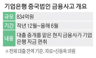 800억 사기당한 IBK 中법인 …"내부통제 구멍"