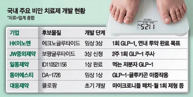 한미 이어 홈런칠 'K비만약'은 HK이노엔·일동·동아 등 출격