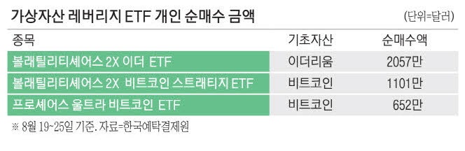 가상자산 레버리지ETF 올라탄 서학개미
