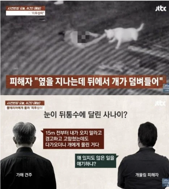 단지 산책하다가 봉변, 맹견에 물려 6번 수술…주인 “난 경고했다”