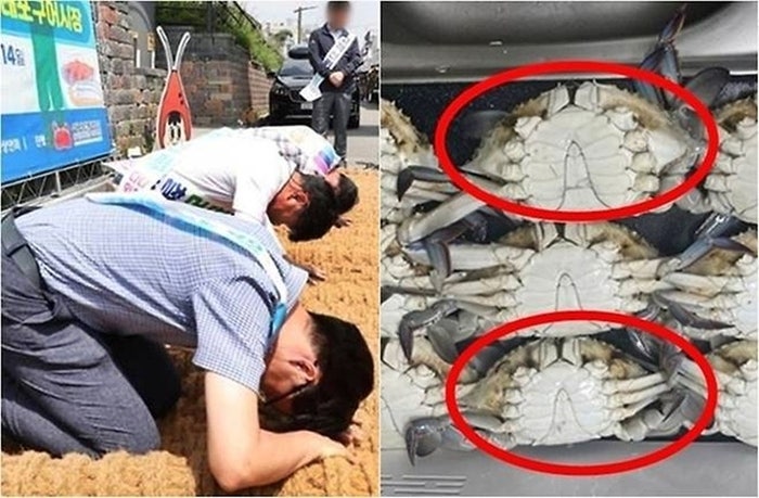 “대게 2마리 37만원, 꽃게 다리는 1개”…소래포구 ‘바가지 근절’, 이번엔 성공할까