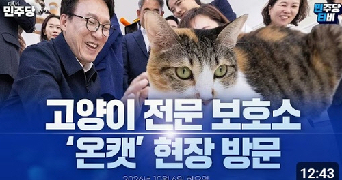 민주당티비 유튜브 채널 썸네일