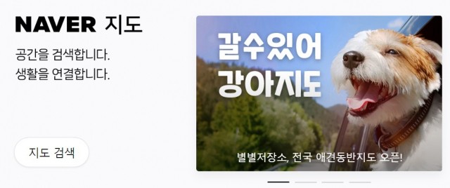 애견동반 가능한 곳, <b>네이버지도</b>에 多있네