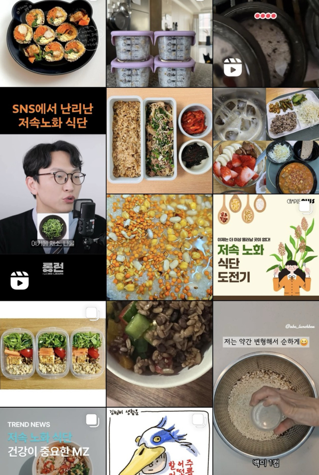 SNS에서 저속노화밥을 검색하면 나오는 다양한 인증 게시물들. 인스타그램 캡쳐