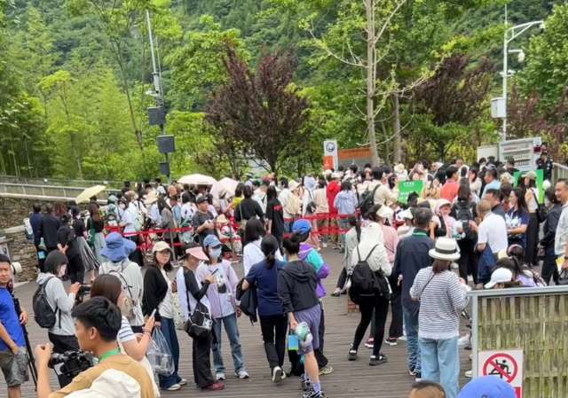 푸바오가 일반에 공개된 12일 쓰촨성 청두 워룽 선수핑기지에서 관람객들이 길게 줄을 서서 관람 순서를 기다리고 있다. 김광수특파원