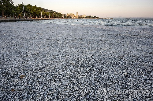 EPA 연합뉴스