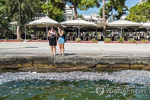 그리스 중부 도시 볼로스의 항구에서 두 여성이 바다에 떠다니는 죽은 물고기를 바라보고 있다. EPA=연합뉴스