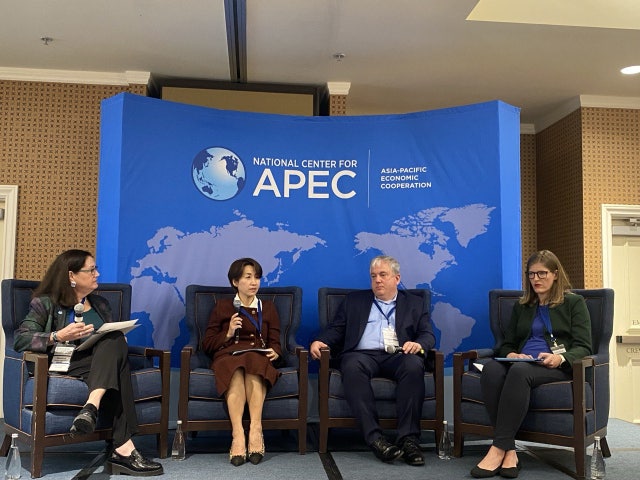 APEC 의장국 韓… <b>빅테크</b> 초청해 '디지털 강국' 위상 알린다