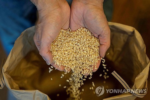 해당 기사와 무관. 연합뉴스