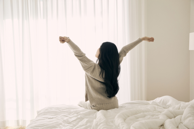 체리는 수면 개선에 도움이 된다. / 이미지투데이