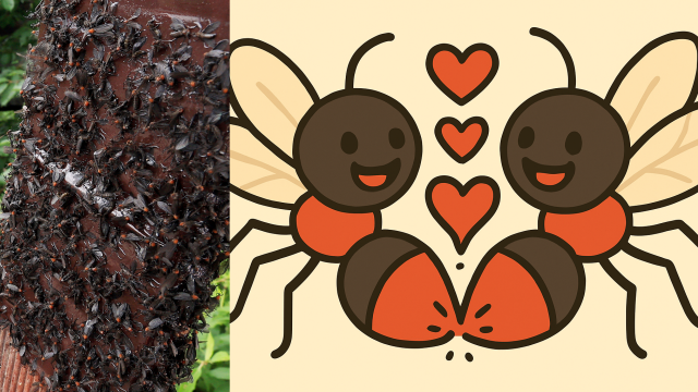 사진은 기사 내용과 무관함. 사진=뉴스1, 플라멜 AI 이미지