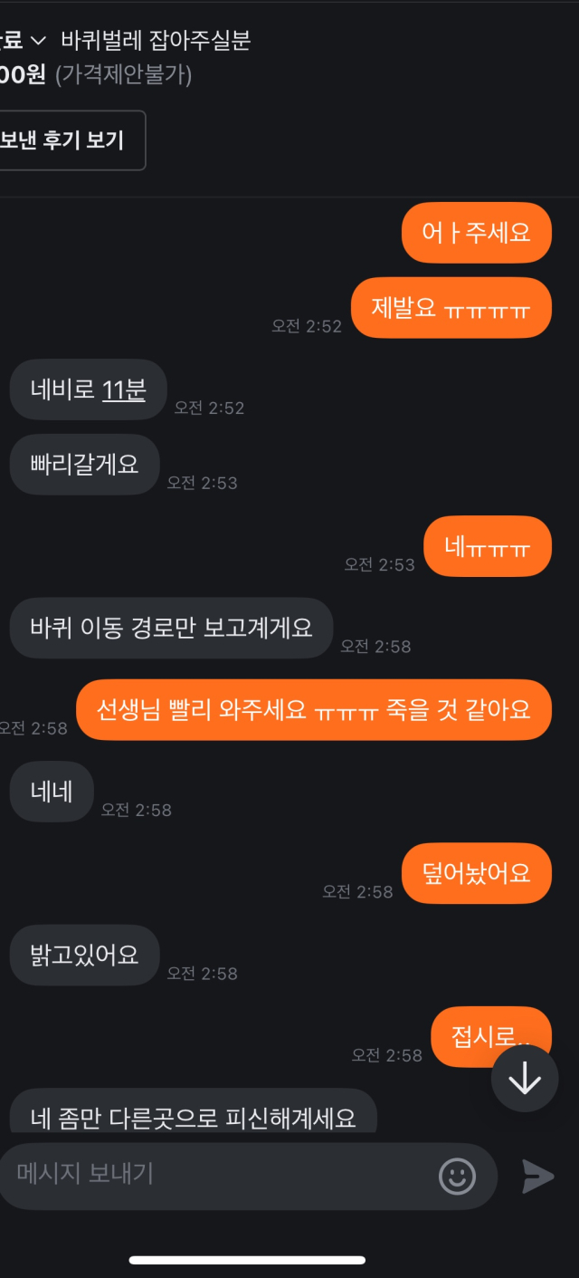 벌레 잡이 관련 당근마켓 대화 내용. 독자 제공