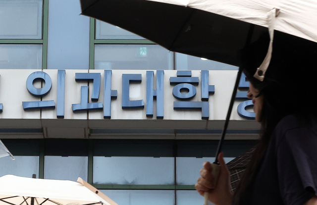 뉴스1