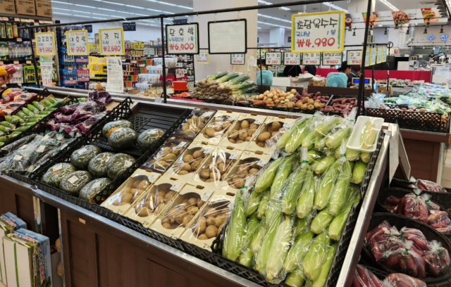 대구의 한 식자재마트 내부 전경. 서울경제DB