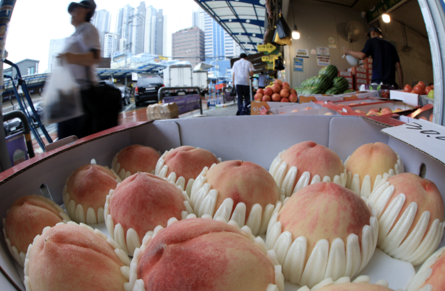 사진은 기사 내용과 무관함. 뉴스1