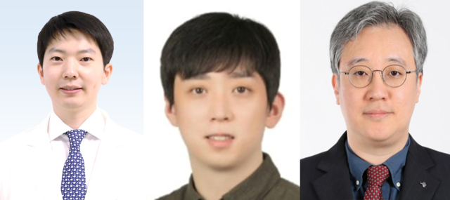 문준호(왼쪽부터) 분당서울대병원 내분비대사내과 교수, 정석송 고려대학교 의과대학 교수, 김원 서울특별시보라매병원 교수. 사진 제공=분당서울대병원