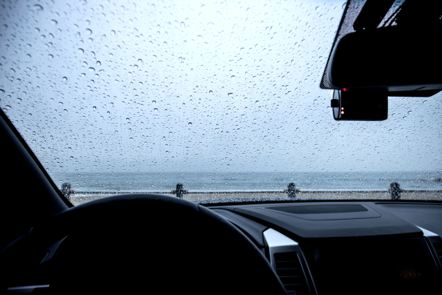 클립아트코리아