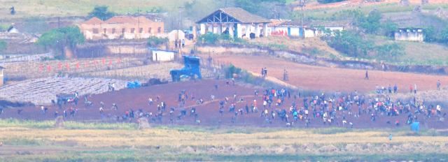 14일 인천 강화군 강화평화전망대에서 바라본 북한 황해도 개풍군 들녘에서 북한 주민들이 모여 작업을 하고 있다. 연합뉴스