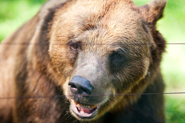 해당 사진은 기사와 무관함. 클립아트코리아