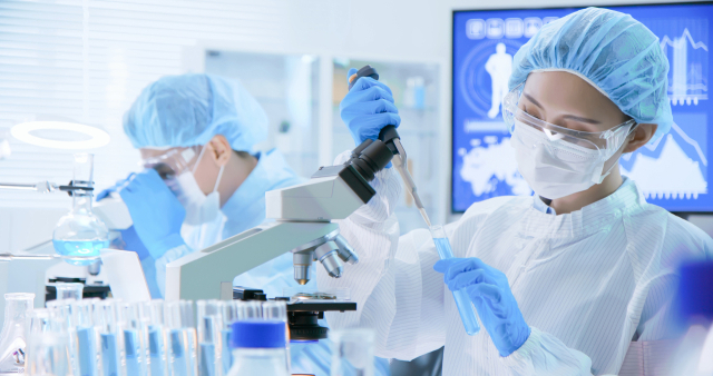 클립아트코리아